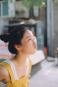 日本网站免费在线观看